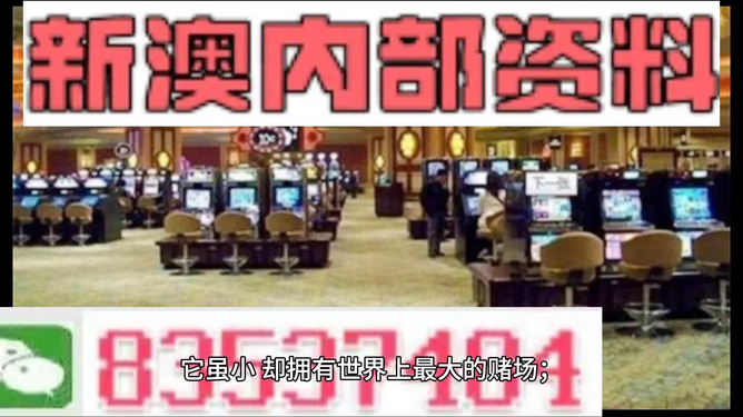2024新澳精準(zhǔn)資料免費提供,澳門內(nèi)部,數(shù)據(jù)引導(dǎo)執(zhí)行策略_WJT29.589收藏版