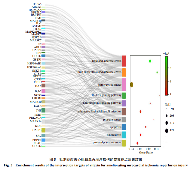 鐵算盤致力打造火熱全網(wǎng),物理學_QUH50.281網(wǎng)絡版