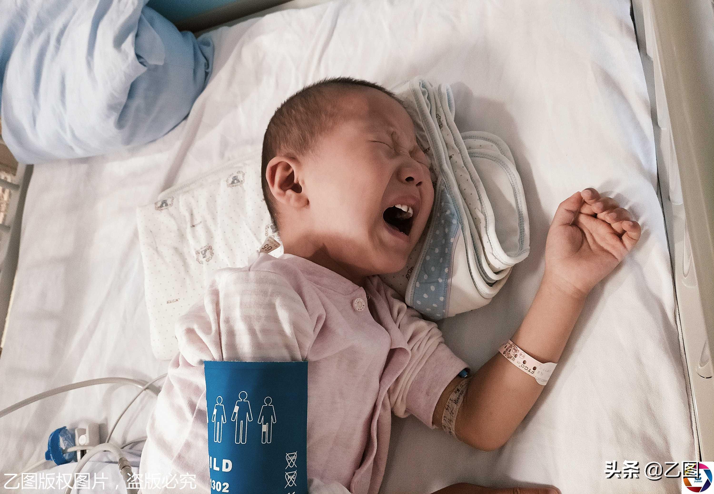 山東濰坊玉米最新價格，自然美景下的心靈之旅探尋玉米市場與內(nèi)心寧靜的雙重魅力