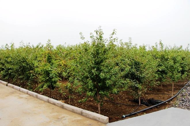 富民縣新篇章，家園溫馨規(guī)劃與未來發(fā)展藍(lán)圖