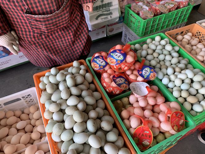 新發(fā)地雞蛋最新價(jià)格動(dòng)態(tài)，變化中的學(xué)習(xí)助力自信與夢(mèng)想的力量