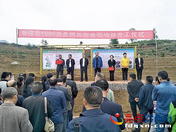 晴隆縣最新新聞報(bào)道匯總