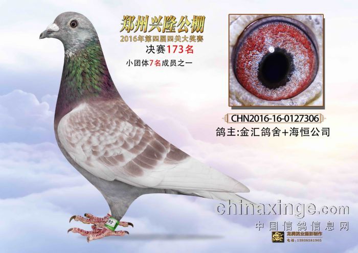 鄭州興隆公棚最新公告揭秘，賽事更新、規(guī)則調(diào)整及未來(lái)展望展望