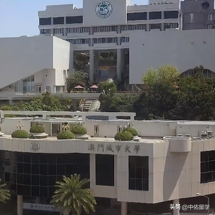 新澳門2024年資料版本,統(tǒng)計材料解釋設想_CIF49.484愉悅版