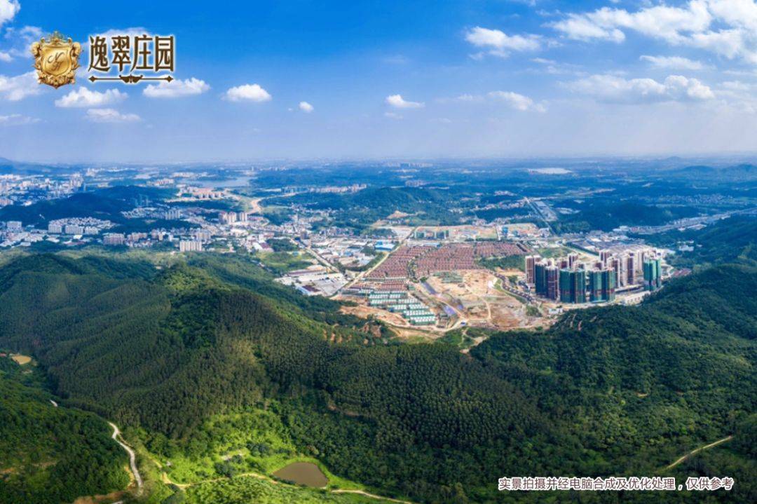 增城潘共恩的最新動(dòng)態(tài)，勵(lì)志故事照亮希望之路