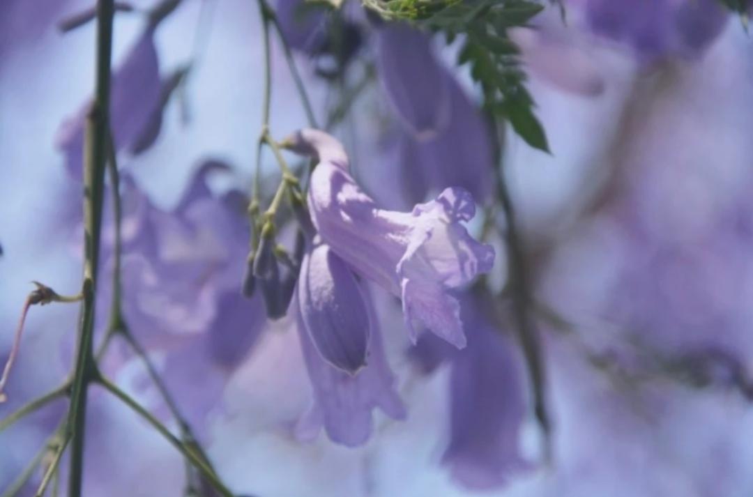 宜賓大地坡最新房?jī)r(jià)揭秘與趨勢(shì)分析????