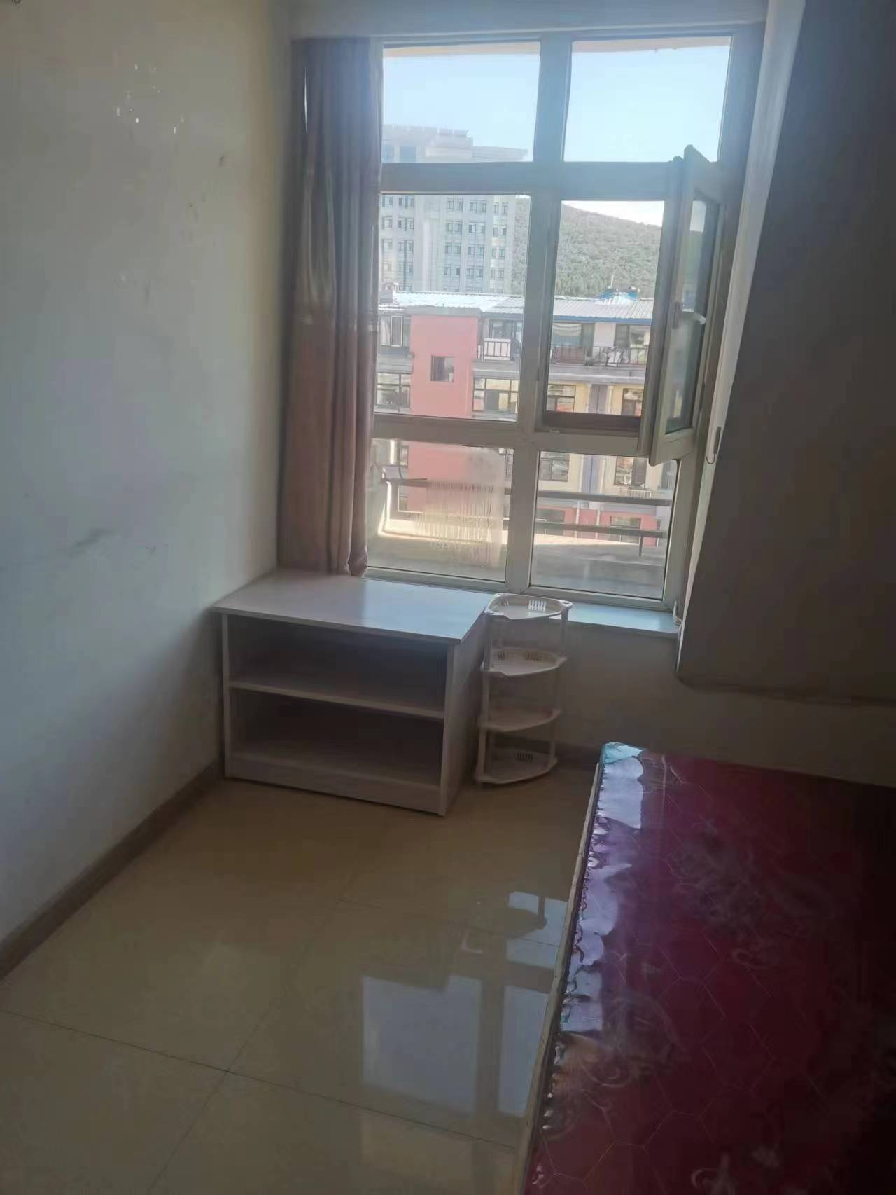 阿城最新房屋出租，家的溫馨與奇遇的友情之旅