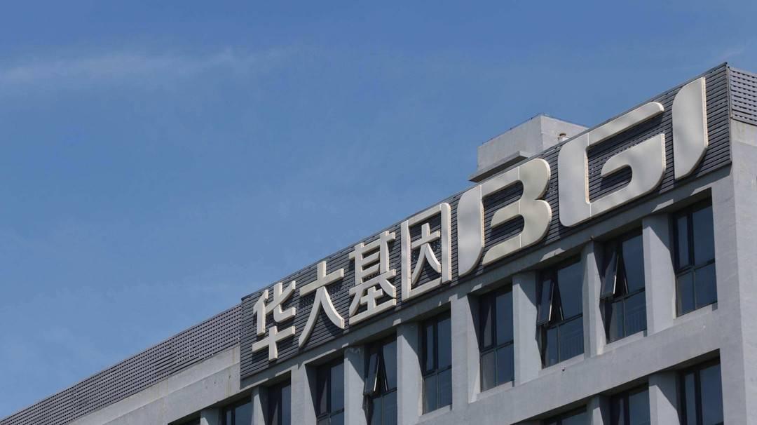 華大基因上市最新動態(tài)，基因之城的歡慶頌歌