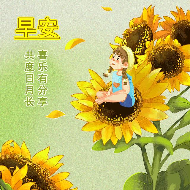 最新動態(tài)早上好圖，獨特日常問候方式