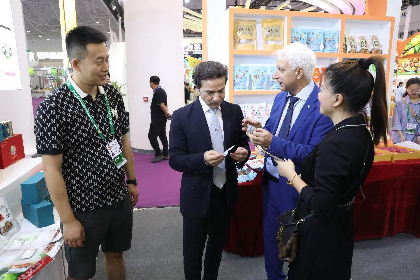 甘肅供銷社最新信息全解析，最新動(dòng)態(tài)與指南