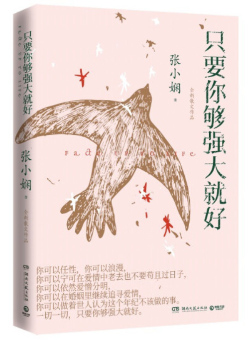 張小嫻竇斌最新章節(jié)深度解析，人物關系及其影響