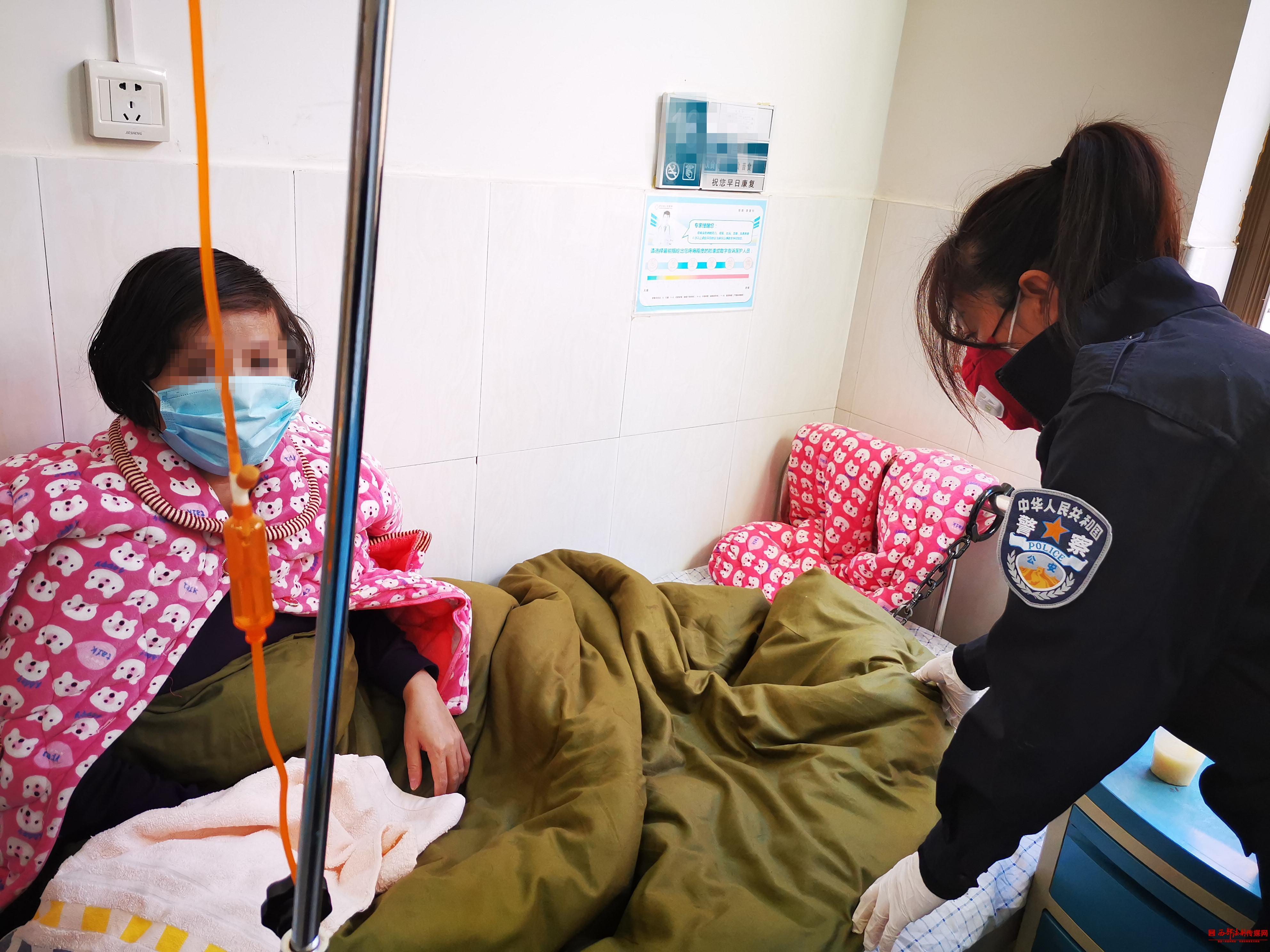 吳定高速最新情況詳解，最新進(jìn)展與指南