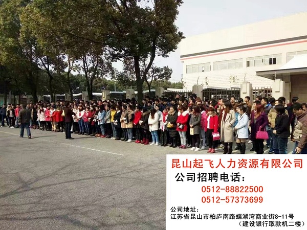 蘇州園區(qū)電子廠最新招聘信息揭秘，一段關(guān)于求職的溫馨日常故事