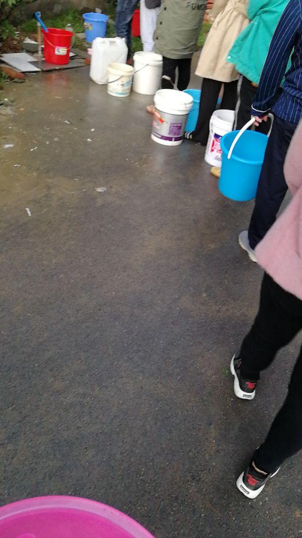 御苑城4號(hào)樓最新動(dòng)態(tài)更新