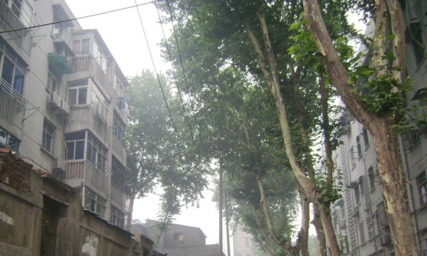 南鋼六村拆遷最新消息及觀點論述揭秘