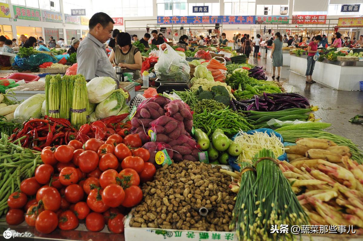 萵筍價(jià)格最新行情及市場走勢分析與預(yù)測