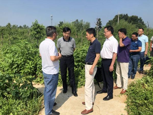 霍邱縣教育局最新公告及觀點(diǎn)論述揭秘