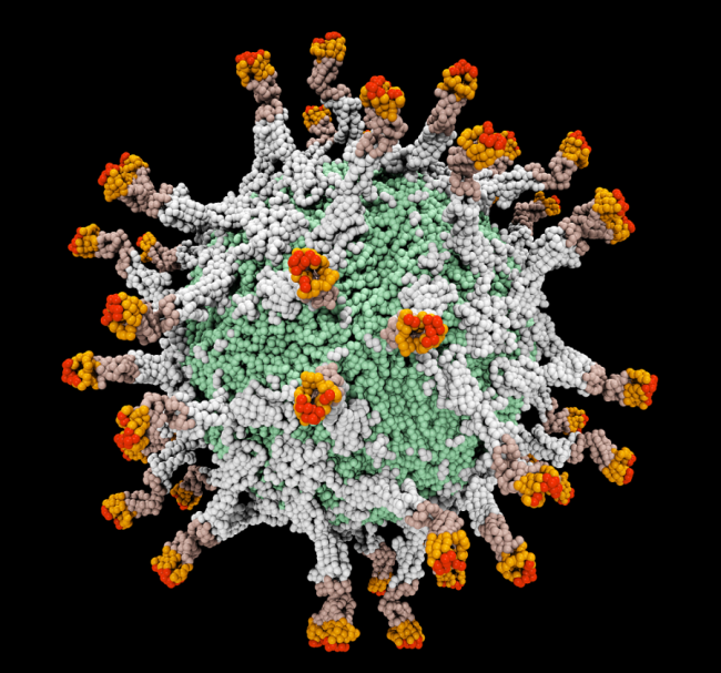 病毒最新動(dòng)態(tài)更新