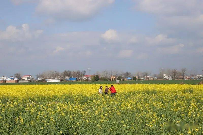 十林王紅亮的最新動(dòng)態(tài)??