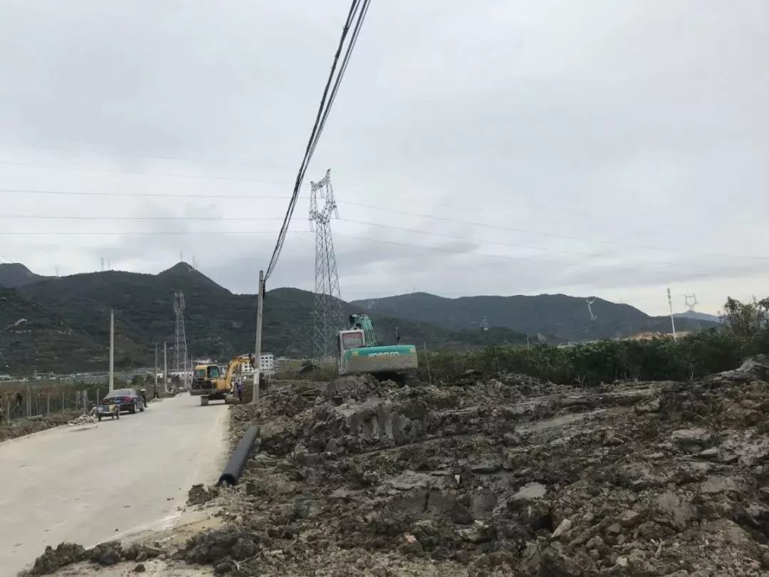 路橋區(qū)副區(qū)長任命動態(tài)揭秘，探尋小巷深處的獨特風(fēng)味