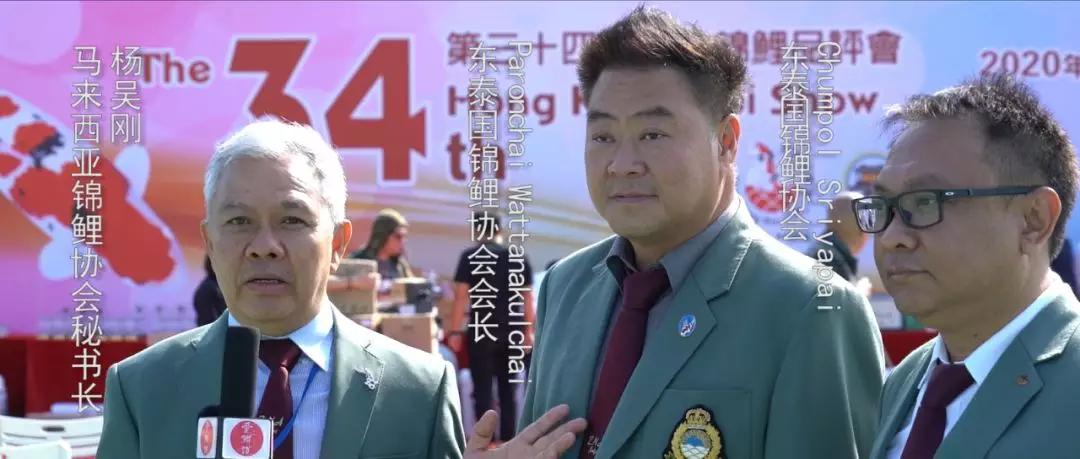 比賽錦鯉，好運降臨，迎接勝利的喜悅！
