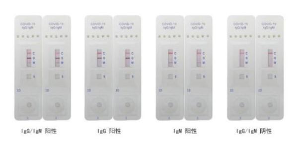 浙江最新抗體引領(lǐng)健康革命新篇章！