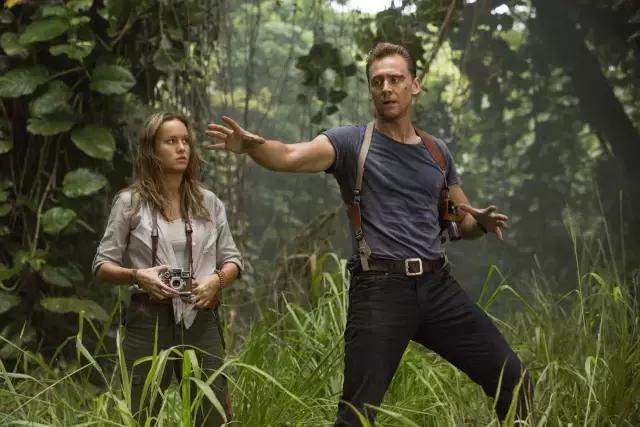 金剛猩猩最新研究動態(tài)與重大發(fā)現(xiàn)概述