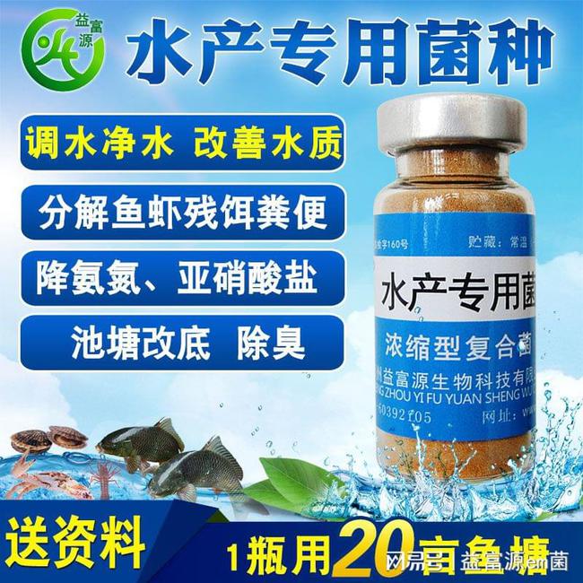 碘制劑最新進(jìn)展，小巷深處的神秘寶藏探索
