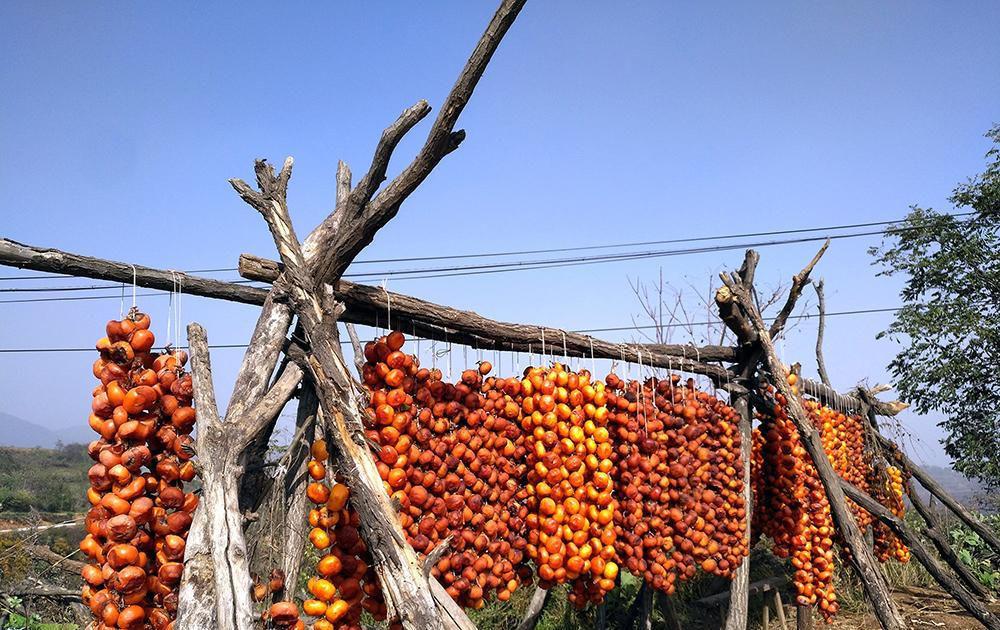 甘乃最新高科技產(chǎn)品重塑未來(lái)生活體驗(yàn)的創(chuàng)新力量