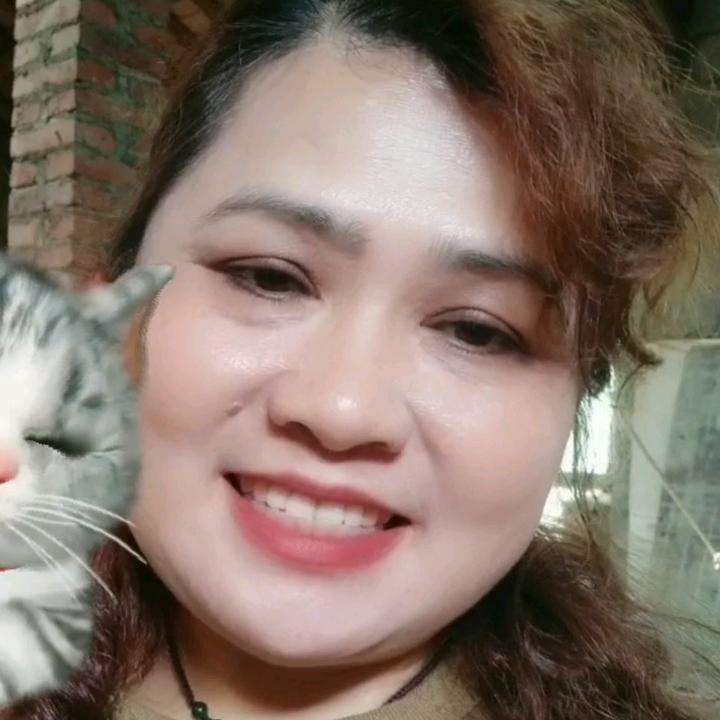 梅姐探險之旅，探尋自然奧秘，回歸內(nèi)心寧靜