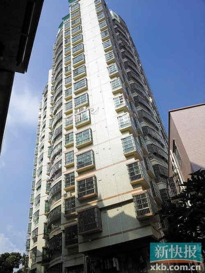 最新違建房，面對(duì)變化汲取力量，勵(lì)志之光照亮前行之路